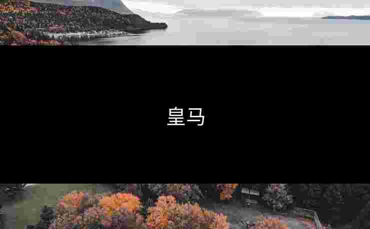 皇马