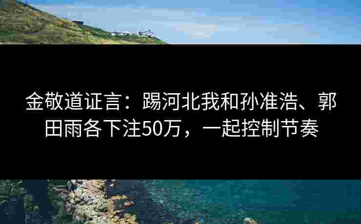 金敬道证言：踢河北我和孙准浩、郭田雨各下注50万，一起控制节奏